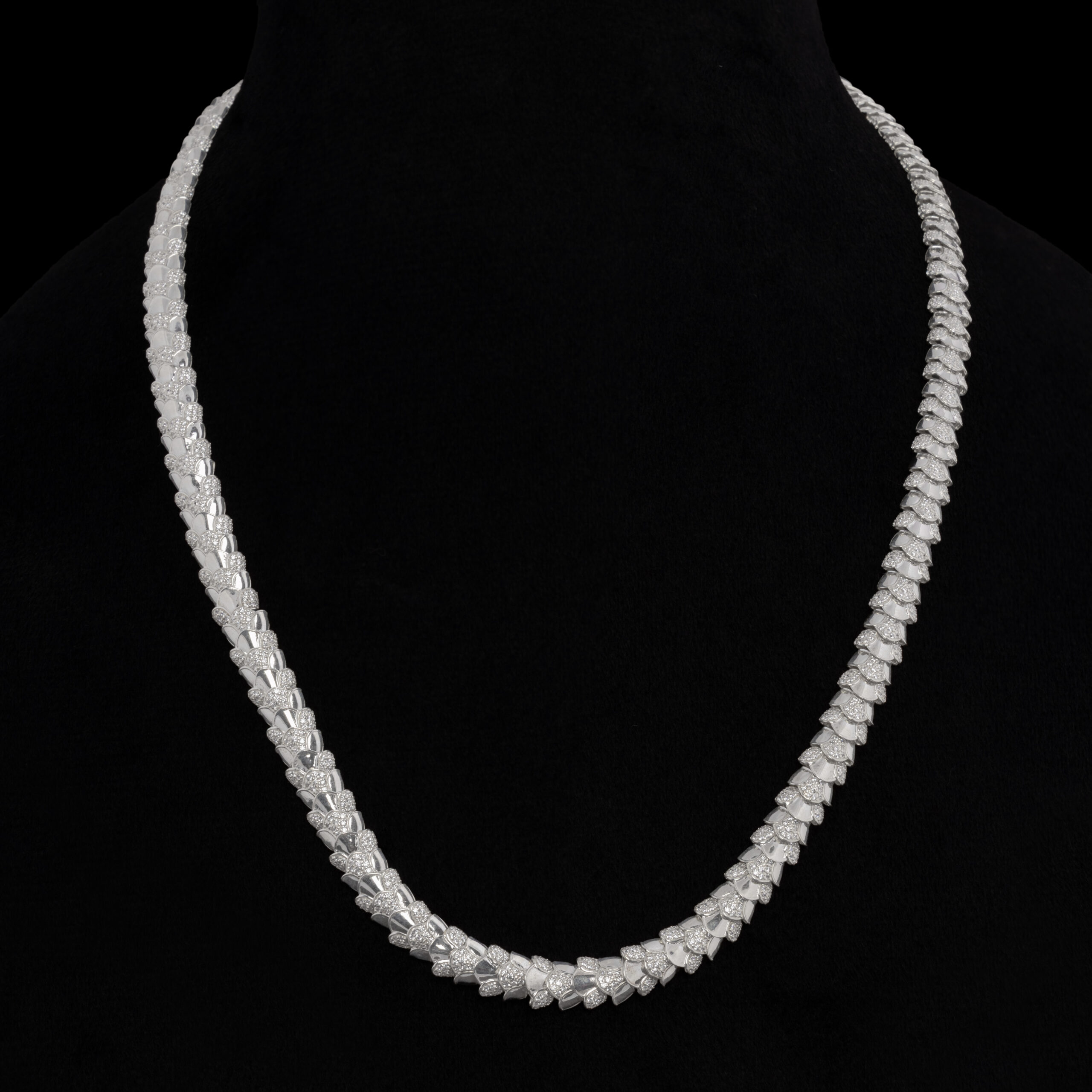 The Dragon Spine - Image 3