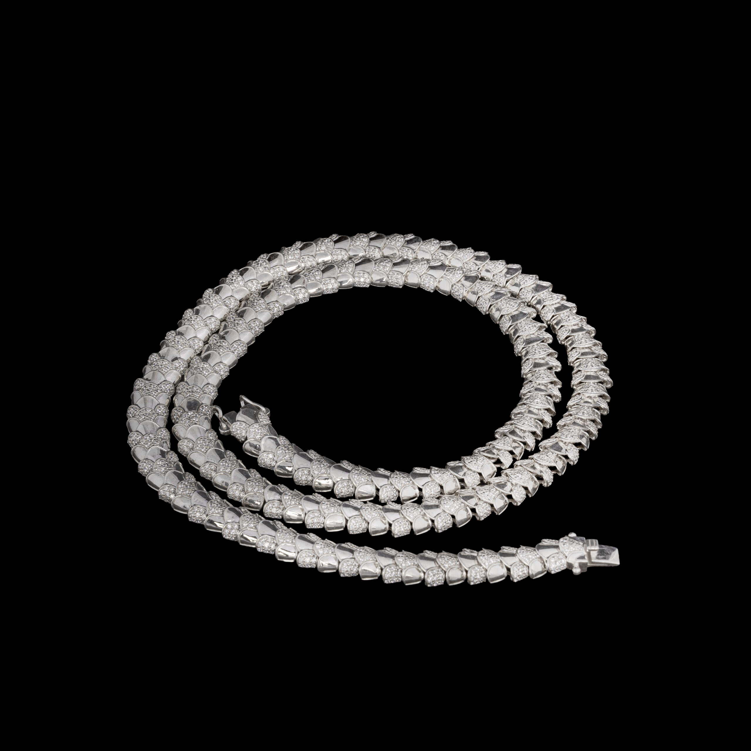 The Dragon Spine - Image 5